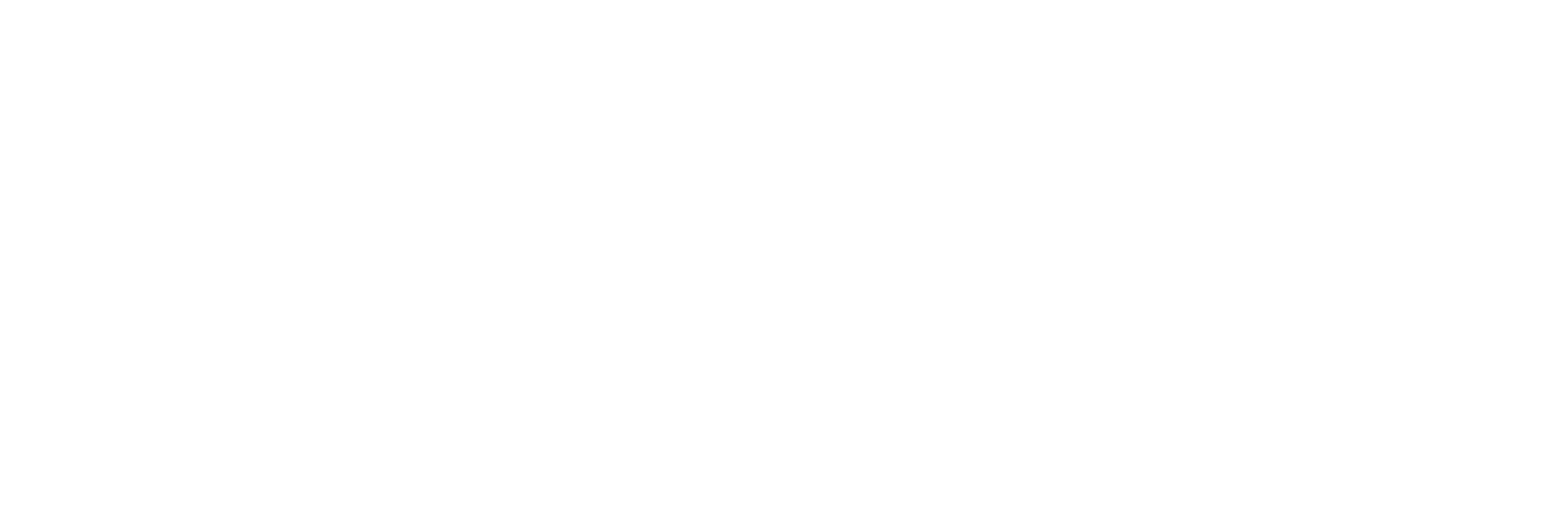 Wireum
